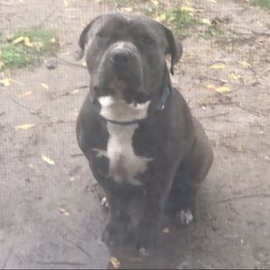 Meet your Posher, Raymond